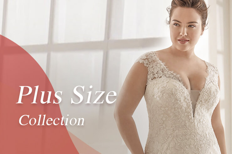 Plus Size Collection